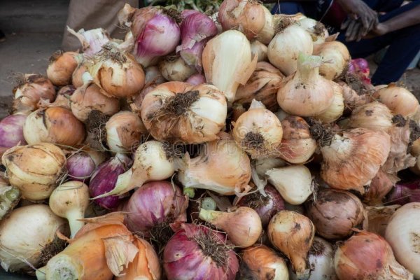 Кракен зеркало рабочее onion