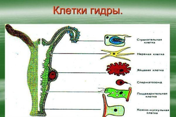 Кракен ссылка онион зеркало