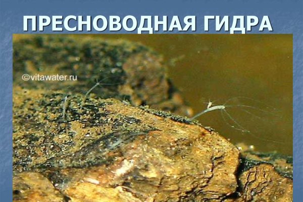 Сайты наркоты