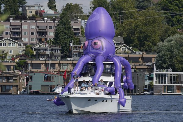 Kraken зеркало kraken dark link