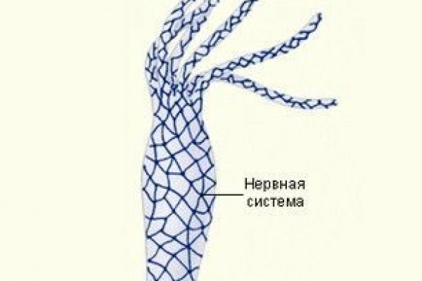 Кракен ссылка на сайт