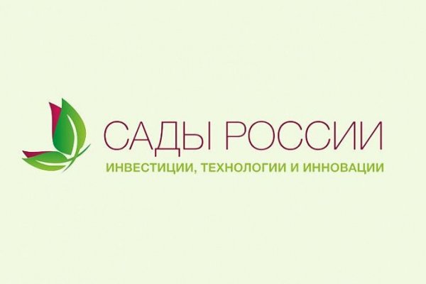 Как вывести деньги с кракена