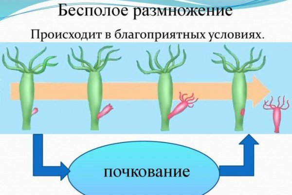 Кракен это современный даркнет маркет плейс