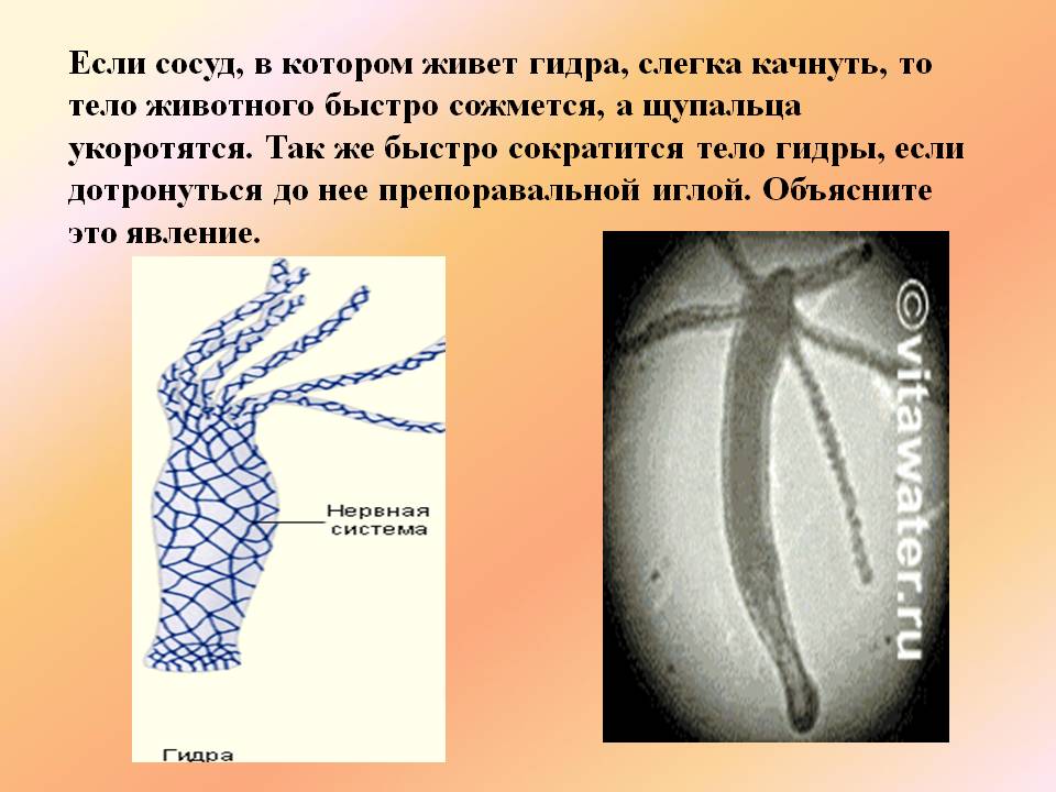 Кракен ссылка оригинал
