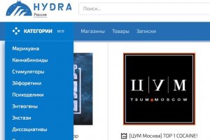 Что продает кракен